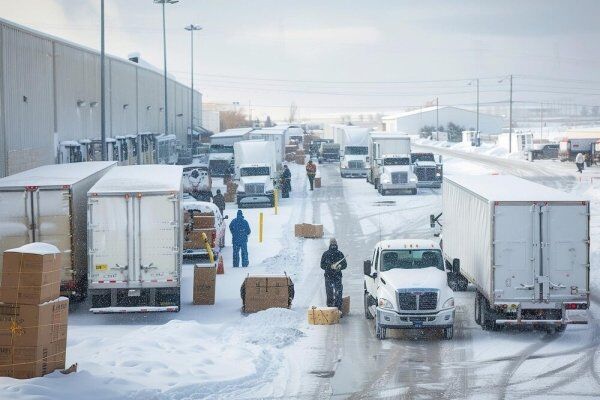 Transporte de Cargas Refrigeradas: Garantindo Qualidade e Segurança
