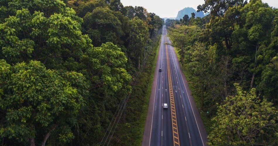 Guia Completo sobre Logística Sustentável no Transporte Rodoviário
