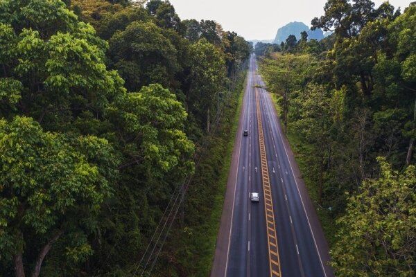 Guia Completo sobre Logística Sustentável no Transporte Rodoviário